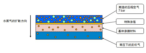 滲膜式干燥器水分子擴(kuò)散 滲膜式干燥器水分子擴(kuò)散