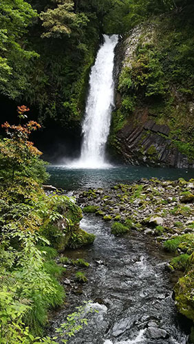 SR過(guò)濾技術(shù)有限公司在凈蓮瀑布 SR過(guò)濾技術(shù)有限公司在凈蓮瀑布